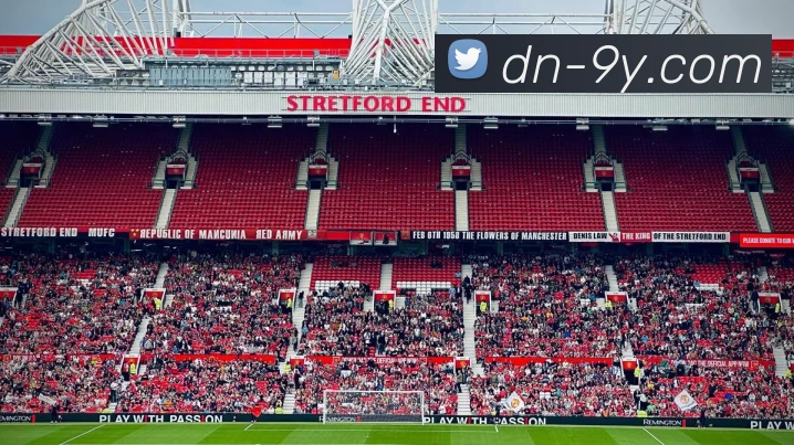 九游官网平台生态图