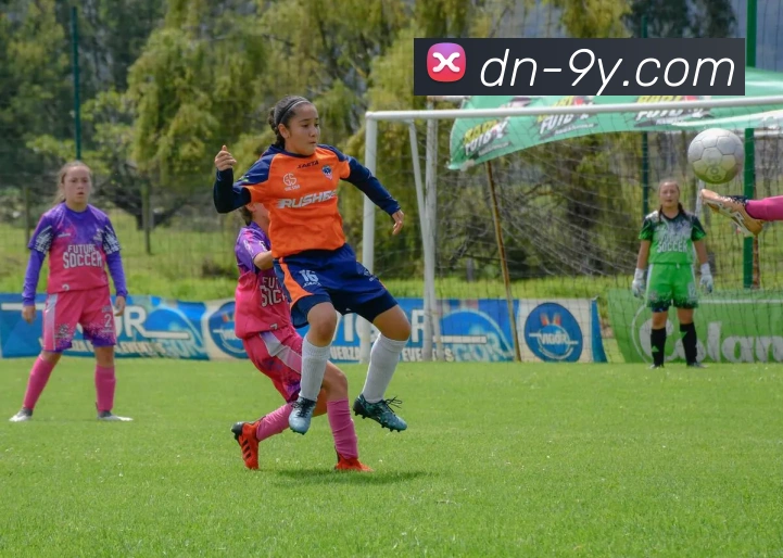 数据防护可视化